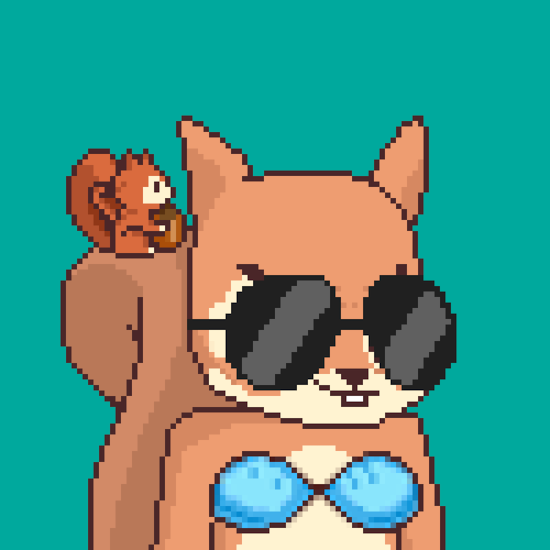 Pixel Squirrels #6211